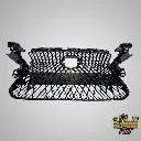 es 16 grill ls 500.webp