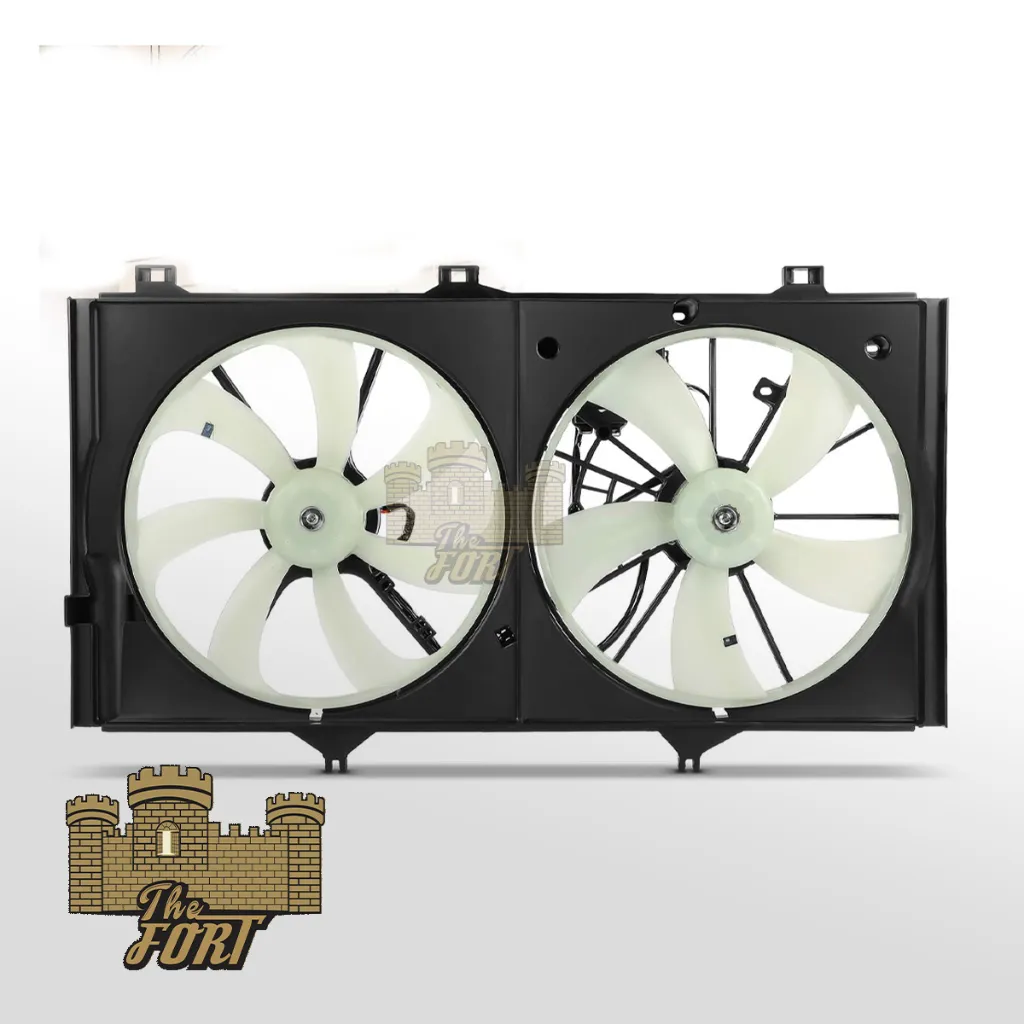 es 07 12 FAN 3.webp